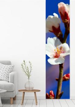 Flächenvorhang Meine Blüten white, Schiebevorhang, Schiebegardine, modern, 60 cm breit, 2,65 m hoch, 3 m hoch